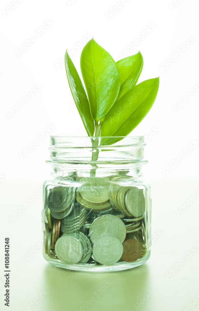 Obraz premium Small plant growth from glass jar,money saving concept