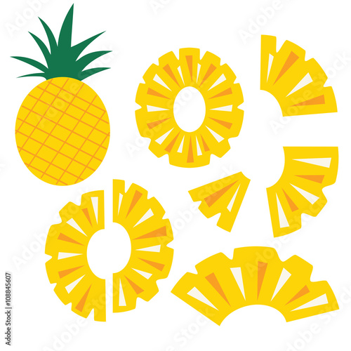 Pineapple fruit slices set icon vector illustration icon isolate