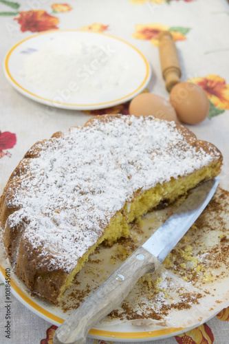 sponge cake with icing sugar