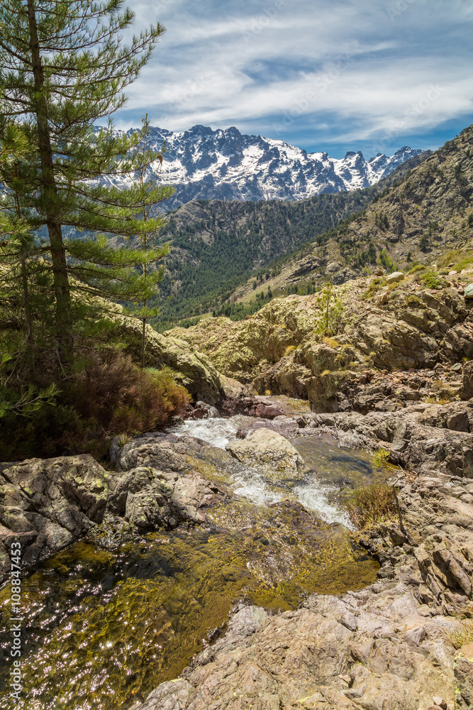Small mountain stream in Corsica and Asco mountains Small mountain stream in Corsica and Asco mountains