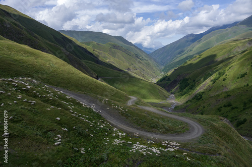 Sheeps crossing the serpentine road. Panorama of mountain valley from top of Datvisjvari Pass, Georgia, Europe