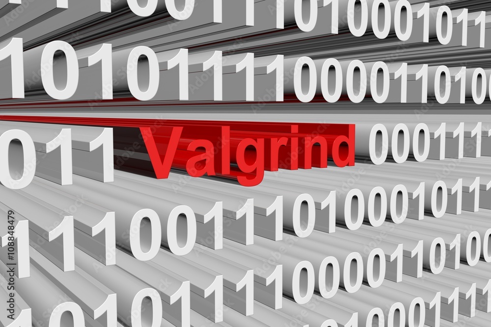 Valgrind in the form of binary code, 3D illustration