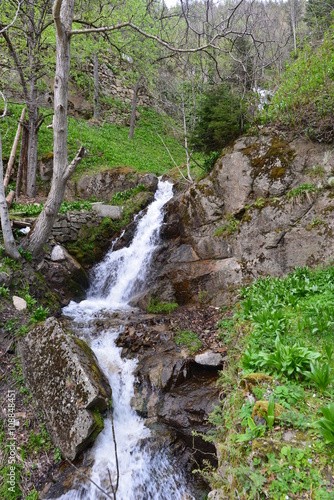 Bergbach im pontischen Gebirge Trabzon