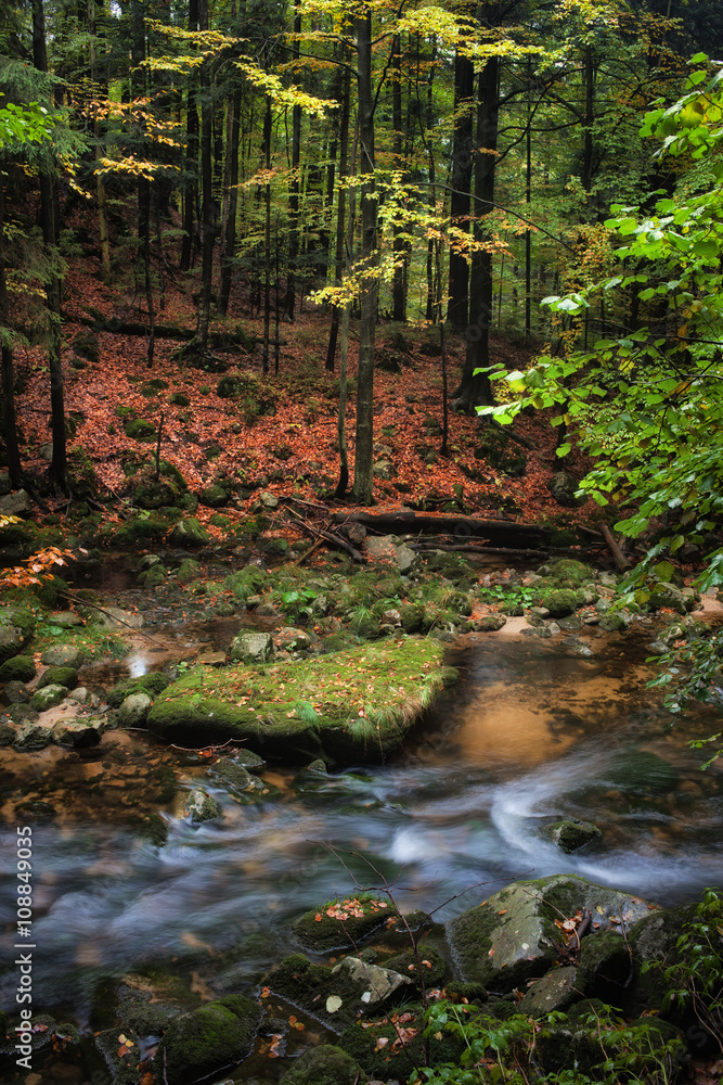 Fototapeta premium Small Creek in Autumn Mountain Forest