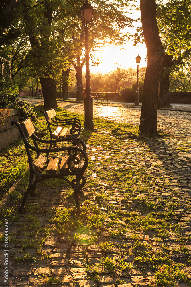 Benches in a Vienna park at sunset