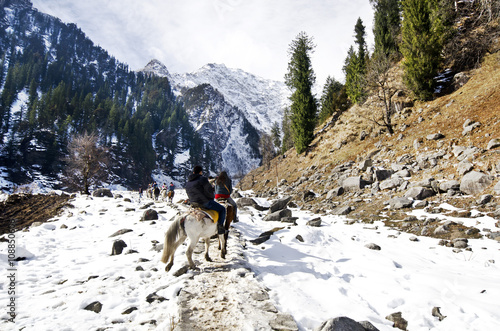 A Beautify Valley View from a Trail at Manali, India