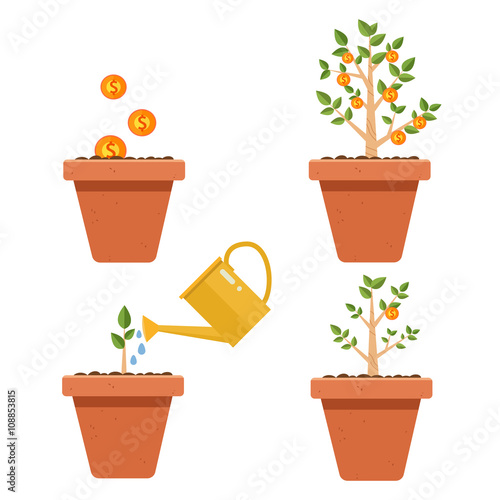 Evolution of money tree.Financial growth concept,Money growth, making money, investment, profit, financial management concept
