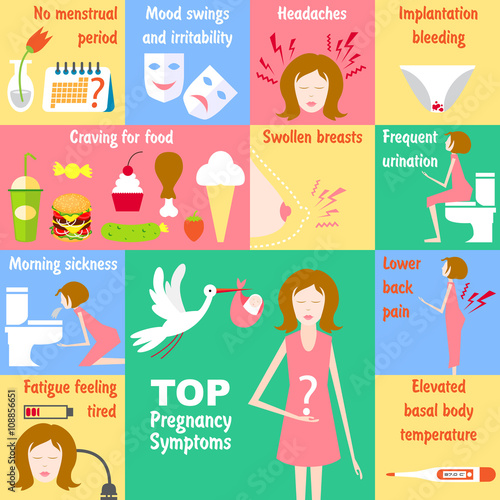 Top Pregnancy Symptoms vector illustration