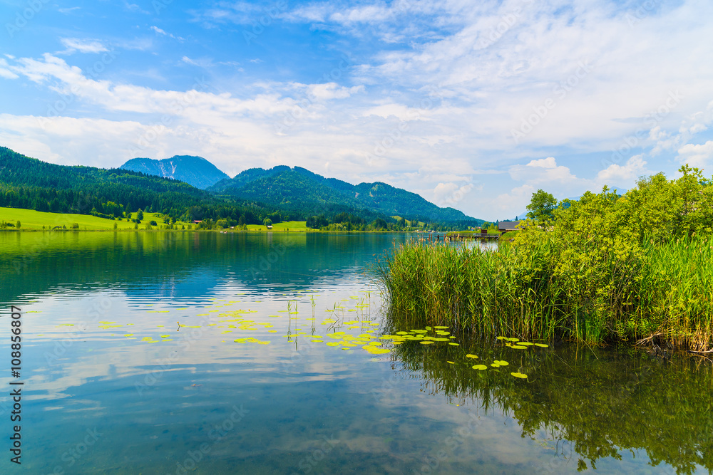 Grass on shore of Idyllic Weissensee lake in summer landscape, Carinthia land, Austria