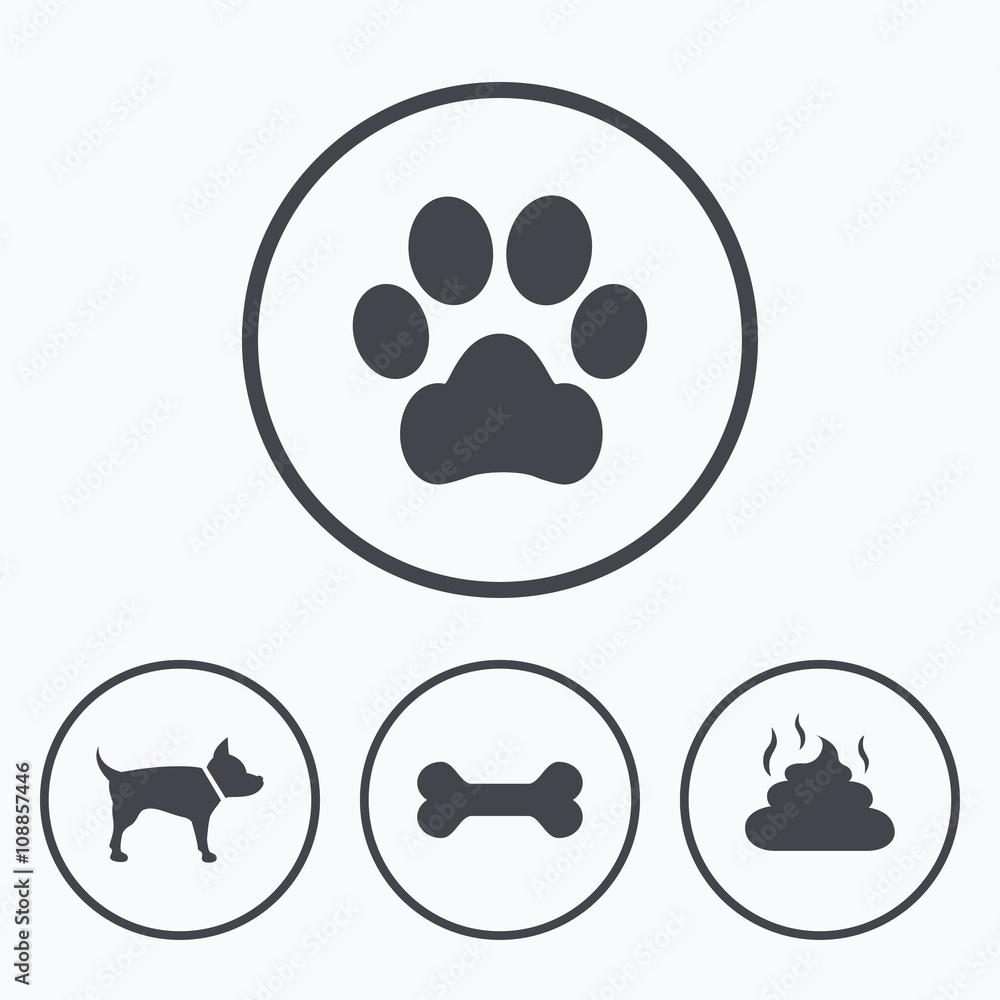 Fototapeta premium Pets icons. Dog paw and feces signs.