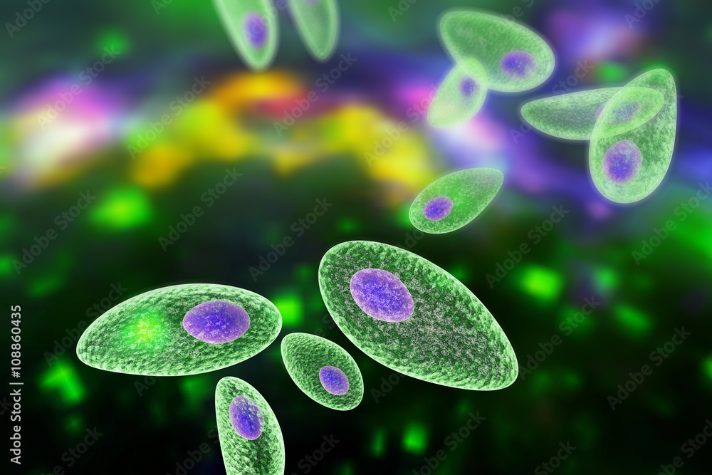 Toxoplasma gondii on colorful background. Protozoan which is