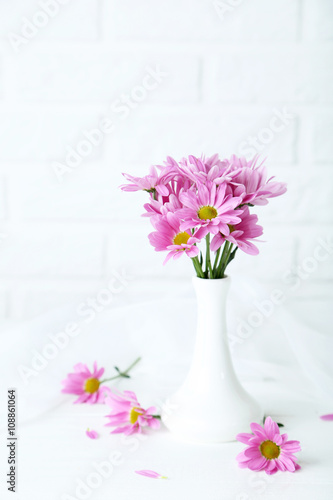 Pink chrysanthemum flowers on white wooden background