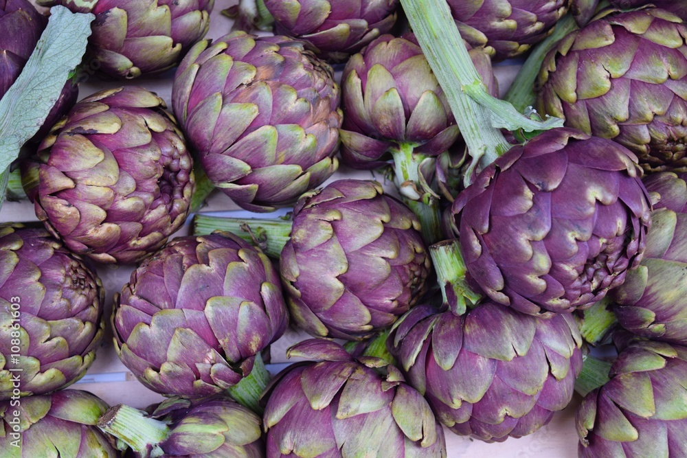 Knospige, essbare Blüten der Artischocke, lateinisch Cynara cardunculus, ein Berg wunderbarer, violetter Artischocken Knospige, essbare Blüten der Artischocke, lateinisch Cynara cardunculus, ein Berg wunderbarer, violetter Artischocken