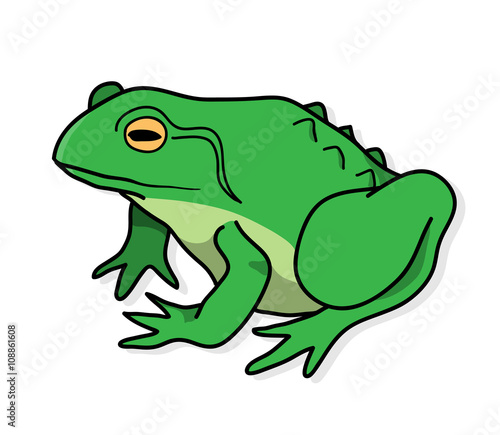 Frog, a hand drawn vector illustration of a frog with shadow backdrop.