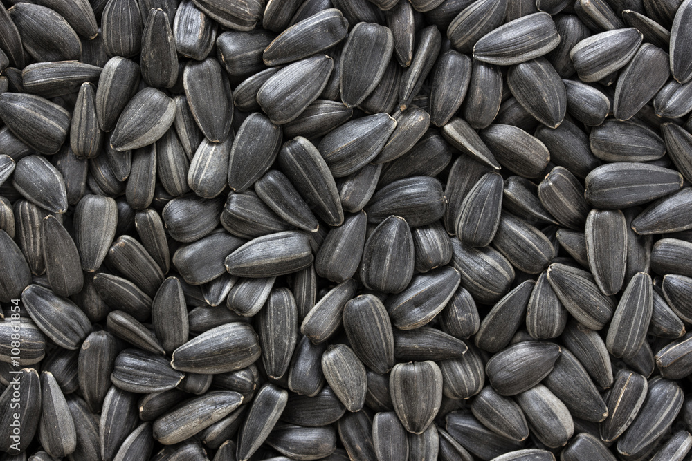 Black sunflower seeds. For texture or background. Close-up of sunflower seeds Black sunflower seeds. For texture or background. Close-up of sunflower seeds