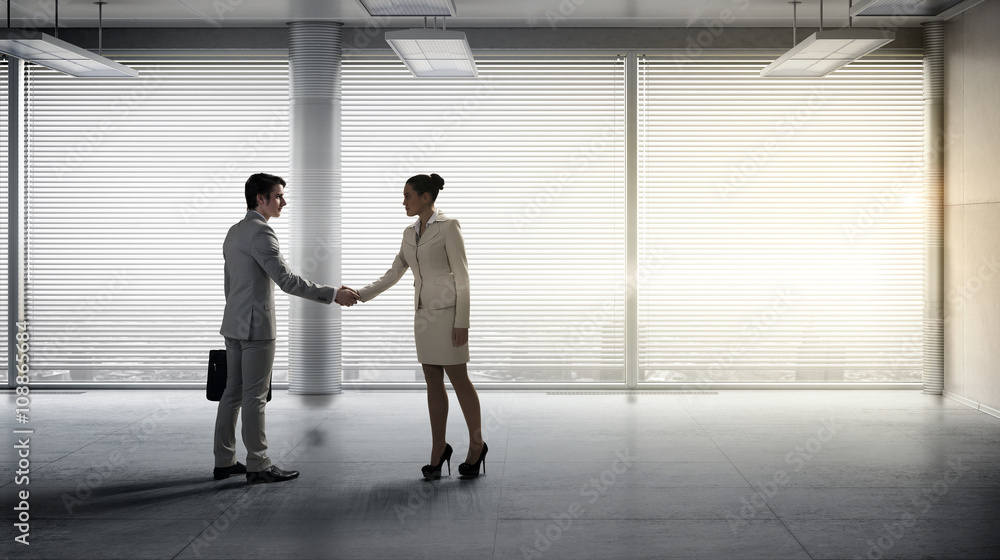 Fototapeta premium Business partners handshake