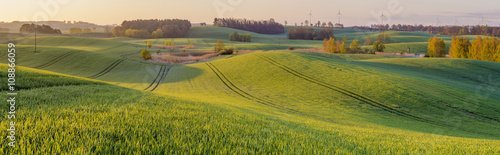 Panorama wiosennego pola 