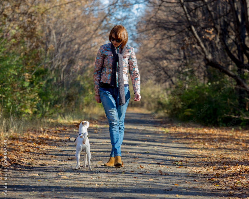 Fototapeta premium woman walking with a dog