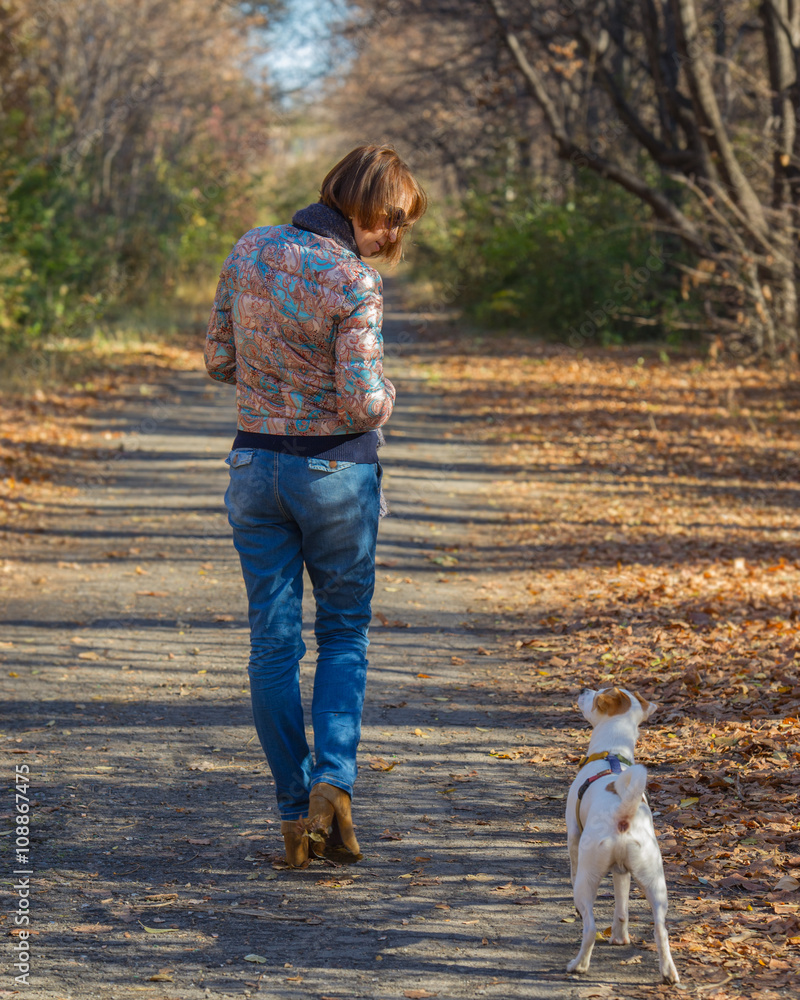 Fototapeta premium woman walking with a dog