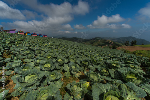 A beautiful landscape with mountains nature at Phu Thap Boek,Thailand