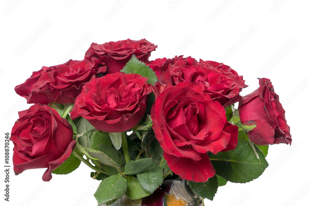 Fototapeta red Roses / red roses over a bright background