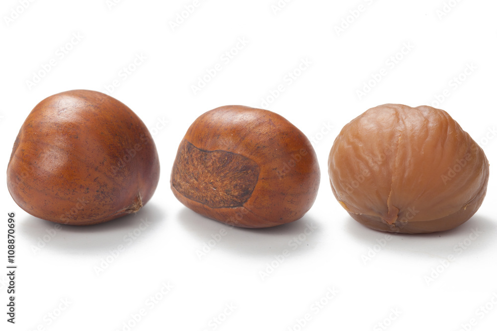 A set of three fresh Chinese chestnut isolated on white background.