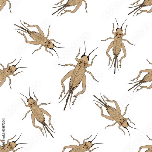 Seamless pattern with cricket or grig. Gryllus campestris.    hand-drawn cricket. grig. . Vector