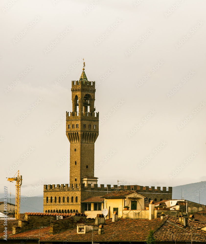 Obraz premium tower in florence