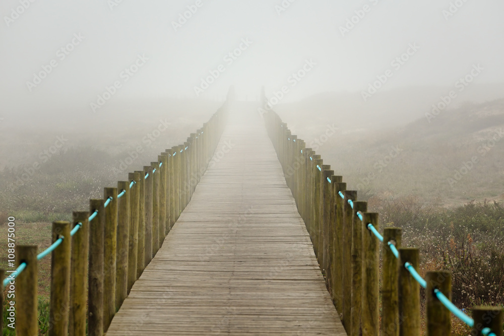 Obraz premium Foogy dune walkway