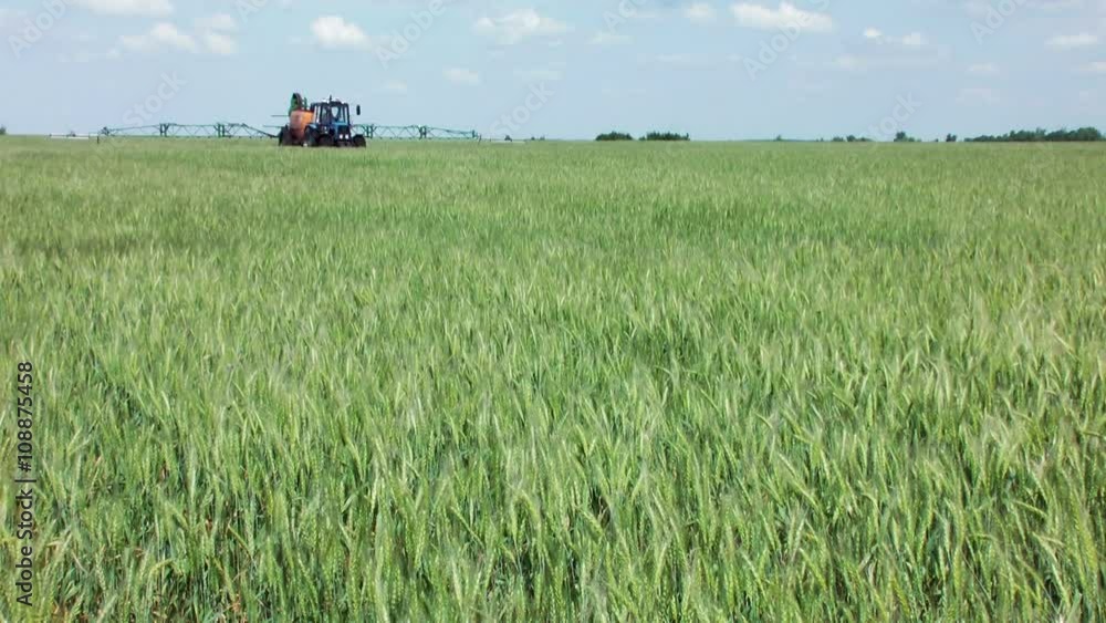 Treatment of cereals against pests, insects and plant diseases Treatment of cereals against pests, insects and plant diseases