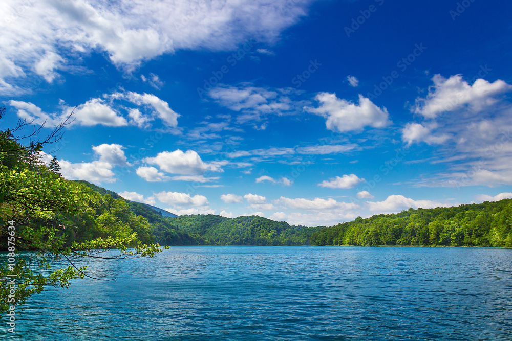 Summer landscape. Plitvice lakes. National park. Croatia.