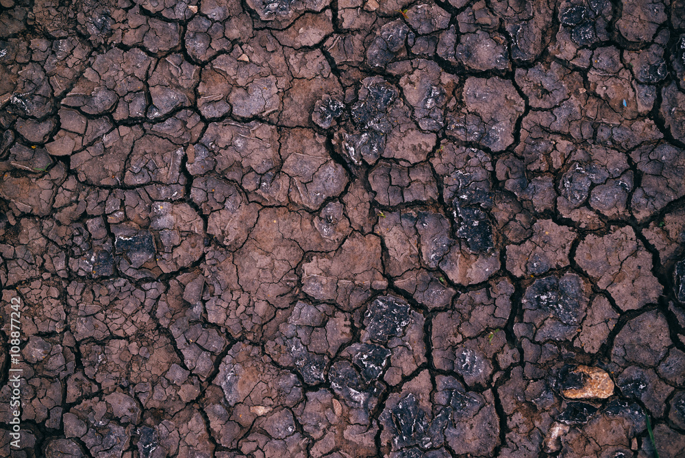 Soil drought, cracks in dry land Soil drought, cracks in dry land