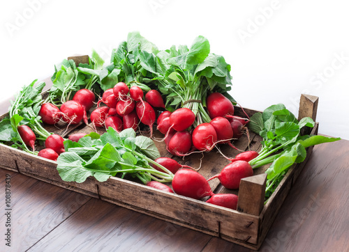 Radish group in old rustic wooden box on wooden table and white background
