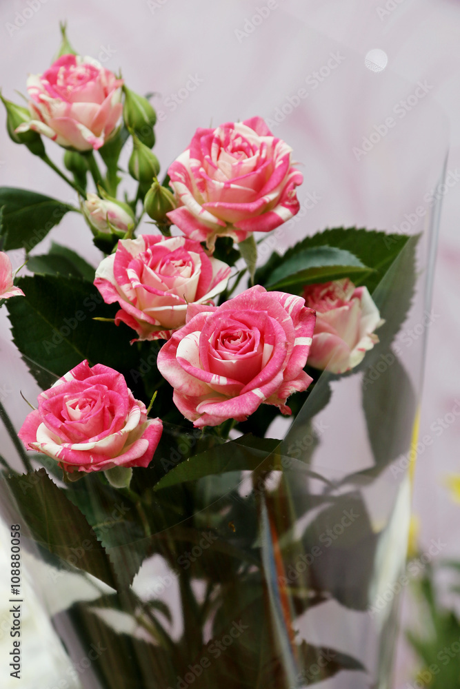 Fototapeta premium розы в букете