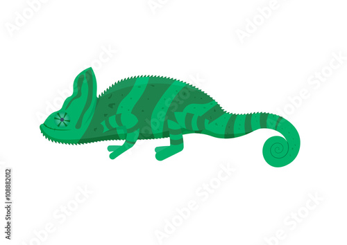  chameleon vector illustration