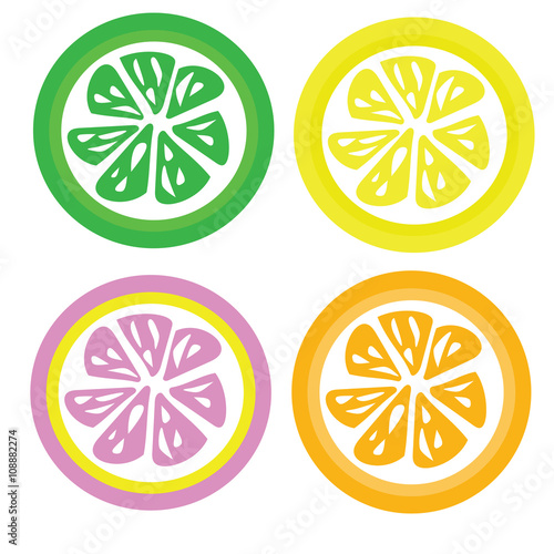 Set for four color slices lemon ,orange ,lime and pink lemon  ve