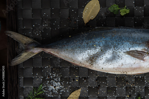 raw tuna fish