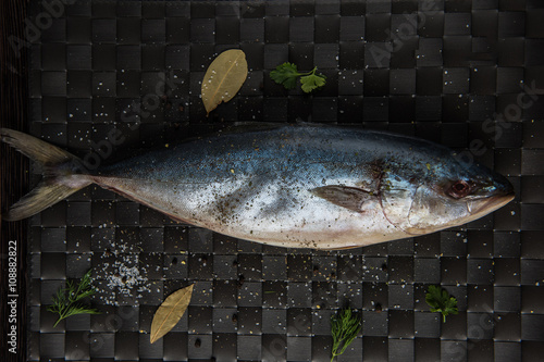 raw tuna fish
