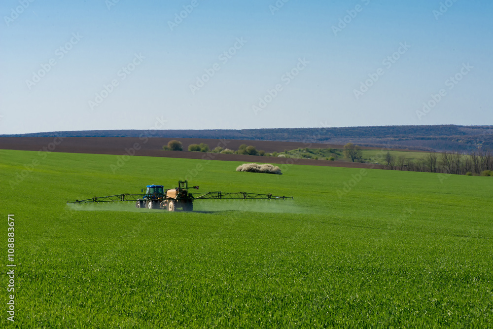 Tractor spraying pesticide in a field of wheat Tractor spraying pesticide in a field of wheat