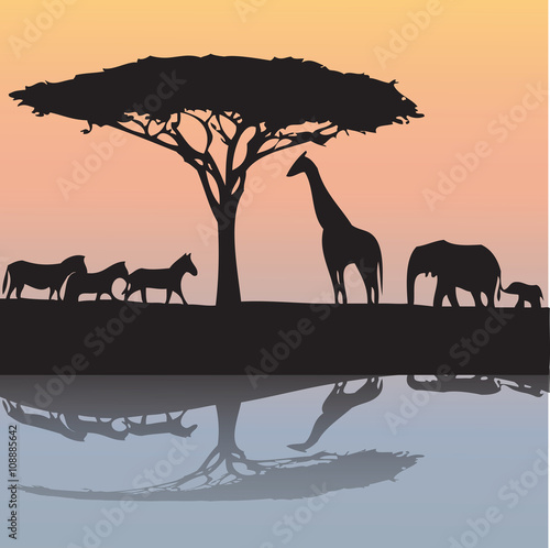 animals of Africa- illustration