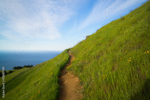 Path to the Pacific photo