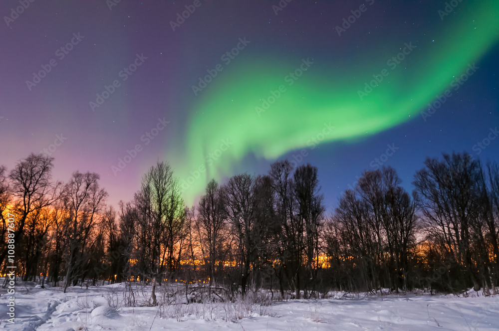 Northern lights. Aurora borealis
