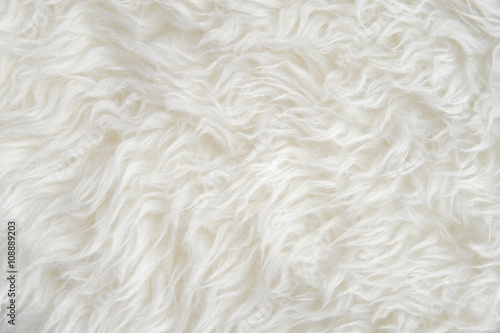 Luxurious wool texture from a  sheepskin rug