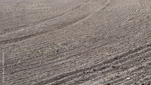 Принти на полотні Cultivated field soil for sowing. The texture of the ground