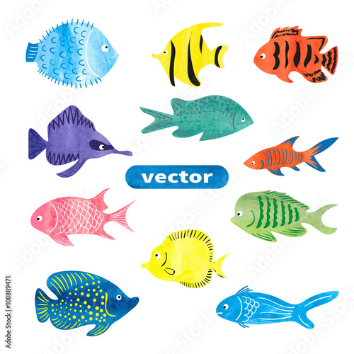 Fish set. Collection of colorful watercolor sea fish isolated on white background. Vector illustration. 