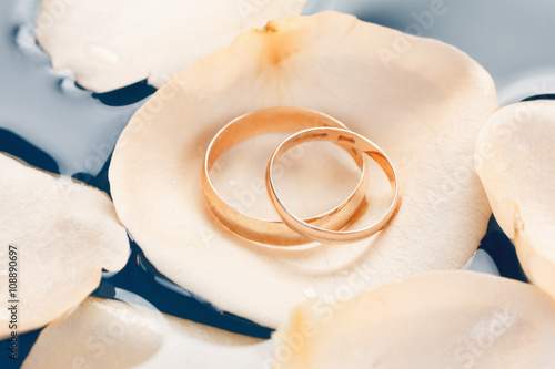 Wedding rings on the rose p...