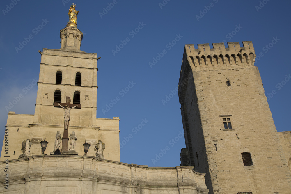 Obraz premium Avignon Cathedral and Palais des Papes Palace