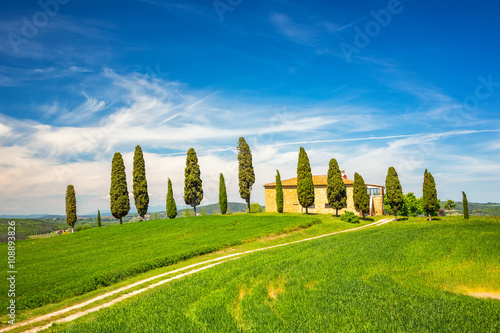 Tuscany landscape at spring   Italy