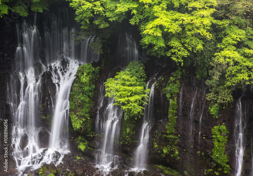 The beautiful Shiraito Falls, Fujinomiya, Shizuoka, Japan © akulamatiau