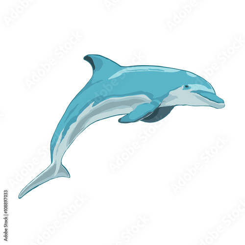 blue dolphin jumps